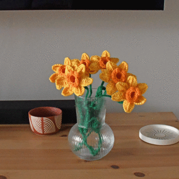 Everlasting Daffodils Crochet Pattern Kit in WoolBox Imagine Classic DK by Zoe Potrac